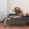 Load image into Gallery viewer, Superior - Original Flea-Free Dog Bed - Medium