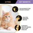 Load image into Gallery viewer, Pro Plan - Kitten Salmon Pouch 85g (12 Pack)