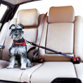 Load image into Gallery viewer, EzyDog - Click Adjustable Seatbelt Attachment