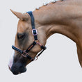 Load image into Gallery viewer, Lumiere Hollywood Leather Halter Full - horse wearing the halter with rose gold fittings