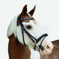 Load image into Gallery viewer, Lumiere Rainbow Bridle - pony wearing the bridle with an ear bonnet