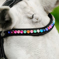 Load image into Gallery viewer, Lumiere Rainbow Bridle - close-up of the rainbow crystal browband