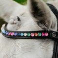 Load image into Gallery viewer, Lumiere Rainbow Bridle - close-up of the browband below the pony's ears