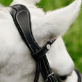 Load image into Gallery viewer, Lumiere Rainbow Bridle - close-up of the padded headpiece
