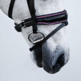 Load image into Gallery viewer, Lumiere Fairyfloss Bridle - close-up of the patent noseband on a grey pony