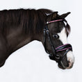 Load image into Gallery viewer, Lumiere Fairyfloss Bridle - dark pony wearing the bridle, side view