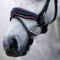 Load image into Gallery viewer, Lumiere Fairyfloss Bridle - close-up of the noseband and cheekpieces on a grey pony