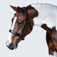 Load image into Gallery viewer, Lumiere Stella Bridle - horse wearing the black bridle, side view