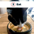 Load image into Gallery viewer, TGG-3000784 - gallery_4