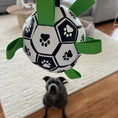 Load image into Gallery viewer, Happy Staffy Co - Ronaldog Soccer Ball