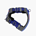 Load image into Gallery viewer, EzyDog - X-Link Harness - Blue - right side