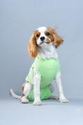 Load image into Gallery viewer, RecoverPet - Dog Recovery Suit - Summer Green