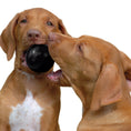 Load image into Gallery viewer, Kong Dog Extreme Ball