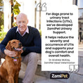 Load image into Gallery viewer, ZamiPet Urinary Support for Dogs