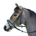 Load image into Gallery viewer, Wintec Bridle with Hanoverian Noseband (Flash)