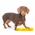 Load image into Gallery viewer, Aussie Dog - Pull It