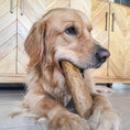 Load image into Gallery viewer, canine-care-coffee-wood-chew - gallery_6