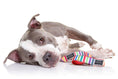 Load image into Gallery viewer, doog-neoprene-dog-leash-scooby - gallery_1