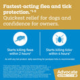 Load image into Gallery viewer, advocate-ultra-chew-medium-breed-5-6-11kg-dog-flea-tick-worming - gallery_6