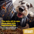 Load image into Gallery viewer, advocate-ultra-chew-medium-breed-5-6-11kg-dog-flea-tick-worming - gallery_4
