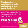 Load image into Gallery viewer, advocate-ultra-chew-medium-breed-5-6-11kg-dog-flea-tick-worming - gallery_5