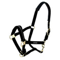 Load image into Gallery viewer, Bainbridge Horse Halter