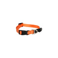 Load image into Gallery viewer, Rogz Classic Collar For Dogs