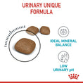 Load image into Gallery viewer, Royal Canin - Urinary Care