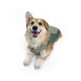 Load image into Gallery viewer, Huskimo Sherpa Dog Coat - River Moss (incl Dachshund Sizes)