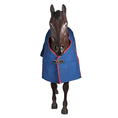 Load image into Gallery viewer, Horsemaster - Ripstop Canvas Rug w/Blanket Lining - front view