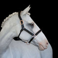 Load image into Gallery viewer, Lumiere Hollywood Leather Halter - grey horse wearing the halter against a black background