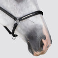 Load image into Gallery viewer, Lumiere Perseus Halter - close-up of the noseband with clincher detailing