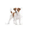Load image into Gallery viewer, Royal Canin Mini Adult 12x85g