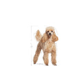 Load image into Gallery viewer, Royal Canin Poodle Adult