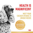 Load image into Gallery viewer, Royal Canin Cocker Spaniel Adult