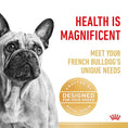 Load image into Gallery viewer, Royal Canin French Bulldog Adult
