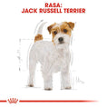 Load image into Gallery viewer, Royal Canin Jack Russell Adult