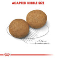 Load image into Gallery viewer, Royal Canin Medium Adult Dog Food