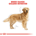 Load image into Gallery viewer, Royal Canin Golden Retriever Adult
