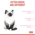 Load image into Gallery viewer, Royal Canin - Kitten Dry Cat Food