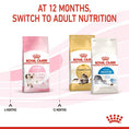 Load image into Gallery viewer, Royal Canin - Kitten Dry Cat Food