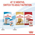 Load image into Gallery viewer, Royal Canin Medium Puppy Chunks in Gravy