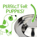 Load image into Gallery viewer, Dog Bowl Stainless Steel Puppy Saucer (28cm)