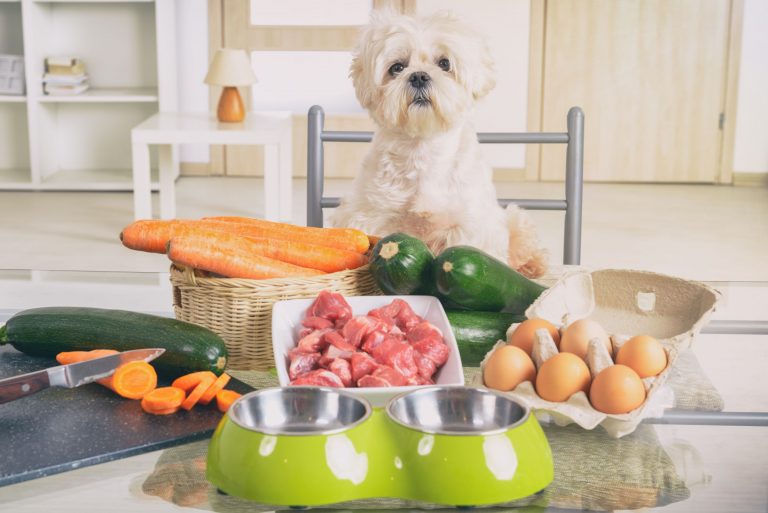 Choosing the right pet food