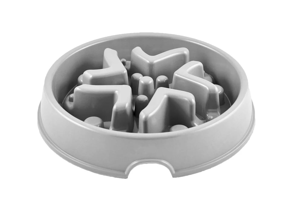 All Fur You Slow Dog Feeder Bowl