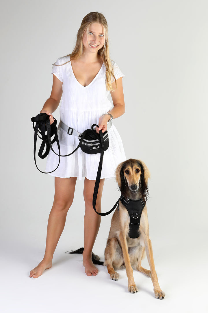 DOOG Training Lead - 3m