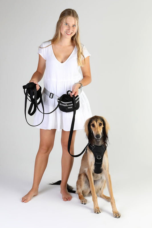 DOOG Training Lead - 3m