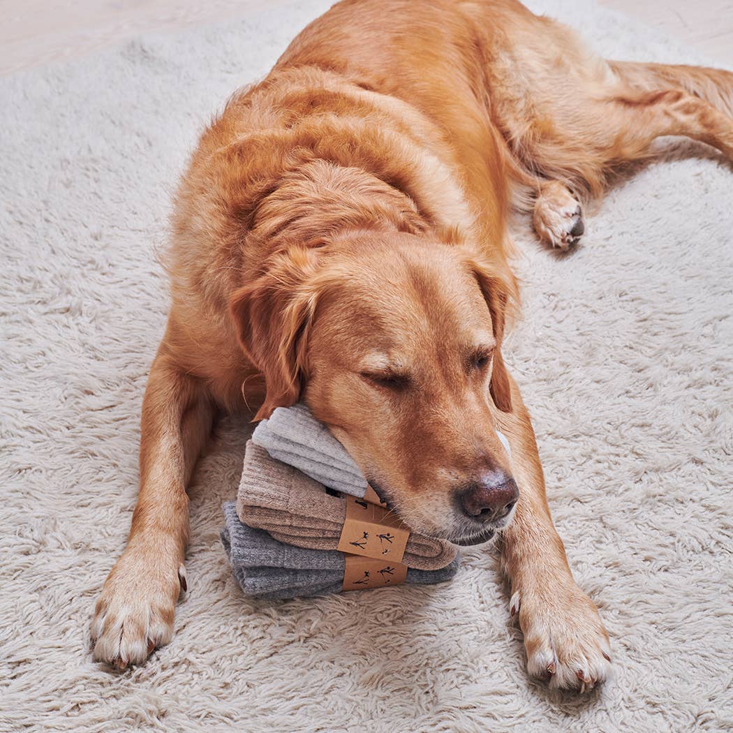 Dog Walking Socks - Golden Retriever
