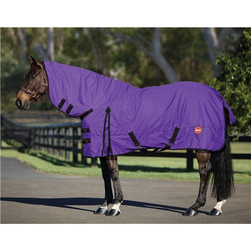 600D Lite Rain sheet Combo Purple