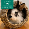 Load image into Gallery viewer, Oxbow Timothy Hideout
